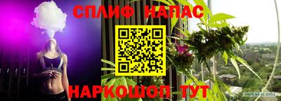 не бодяженный Будённовск