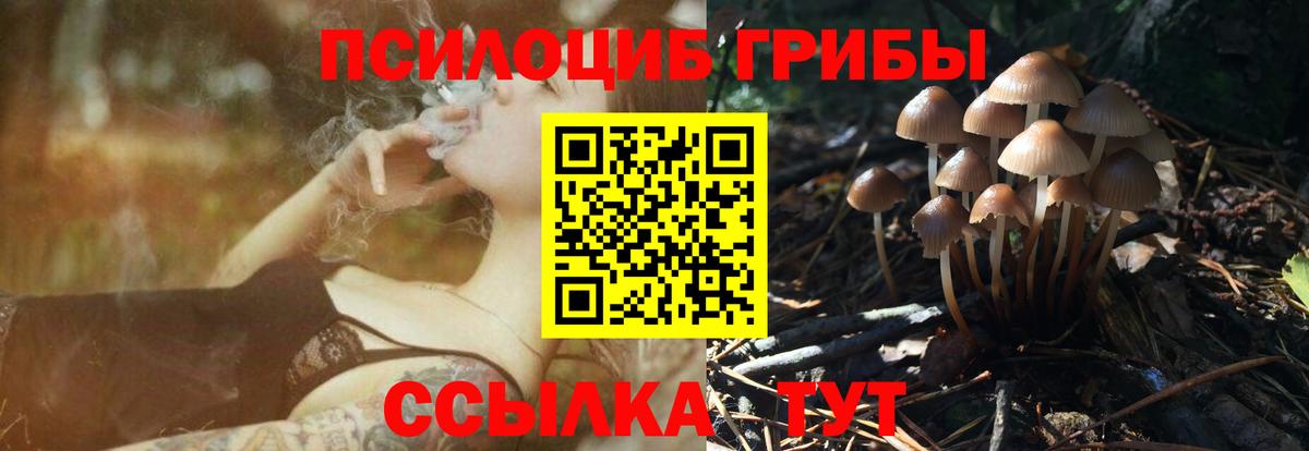 Галлюциногенные грибы Psilocybine cubensis  Вход с VPN  Южно-Сахалинск 